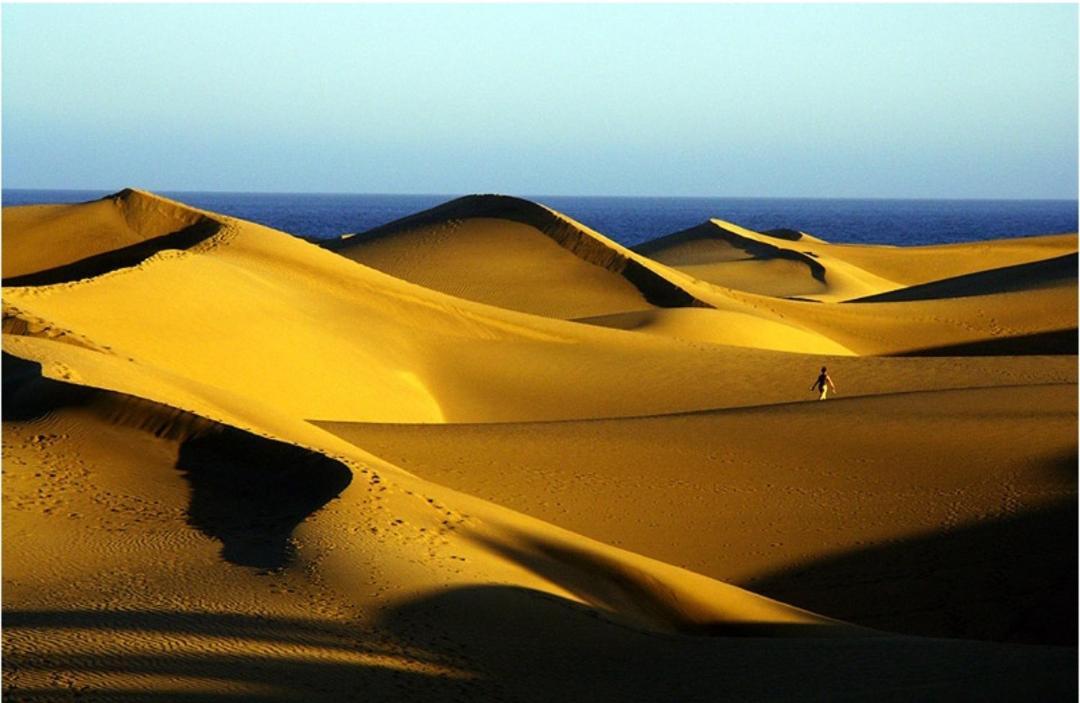 Acogedor Octavo Habitat Lägenhet Maspalomas  Exteriör bild